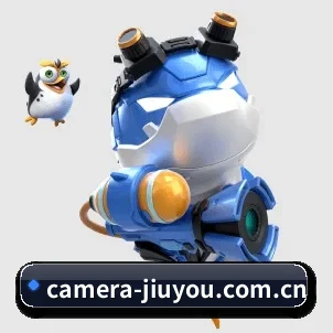 公司成立